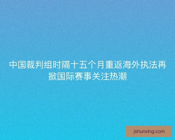 中国裁判组时隔十五个月重返海外执法再掀国际赛事关注热潮